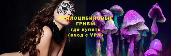 стаф Магадан