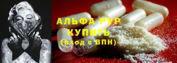 стаф Магадан
