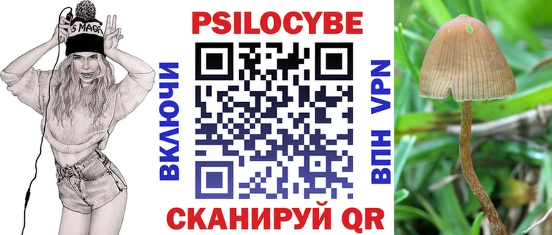 Купить Окуловка Псилоцибиновые грибы GOLDEN TEACHER